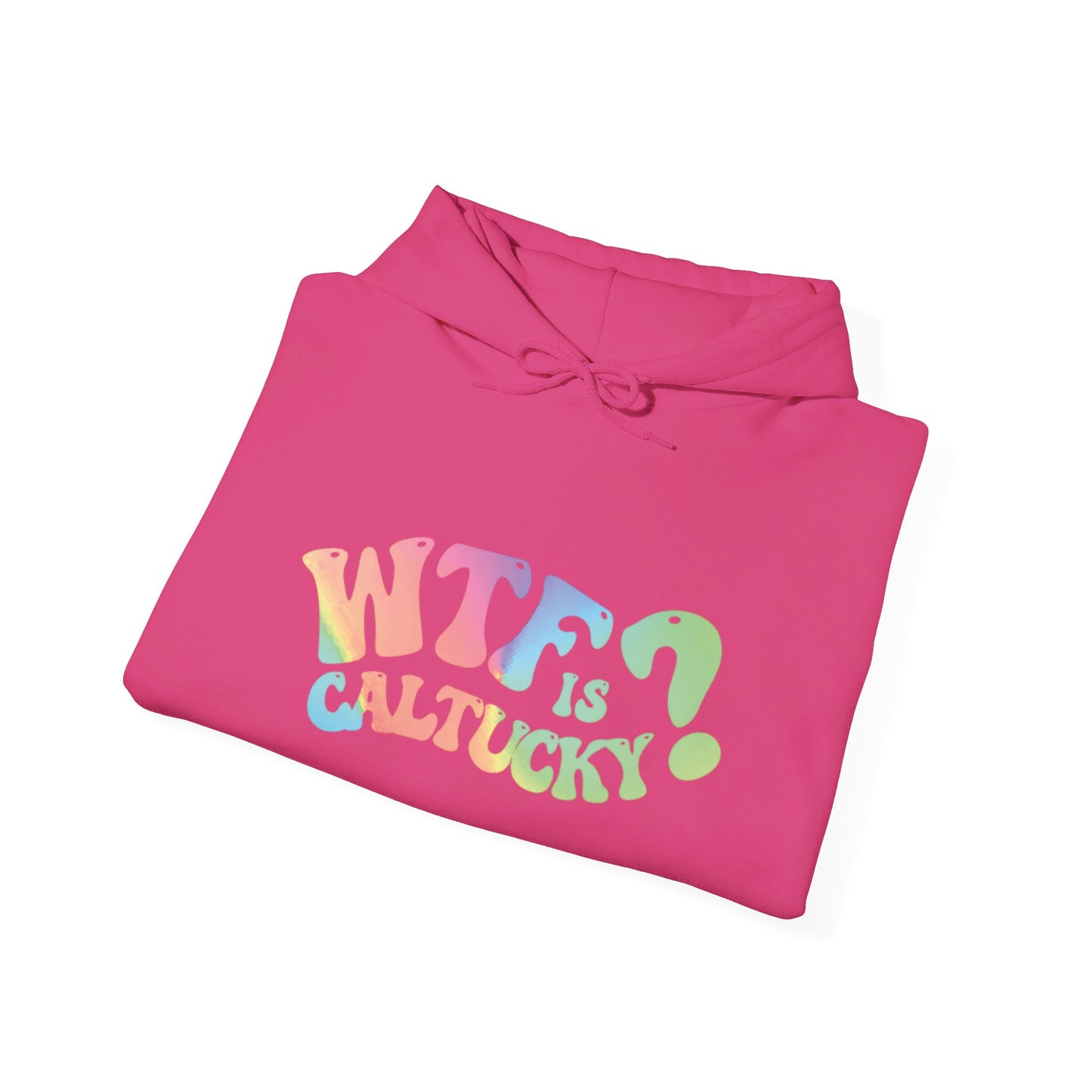 WTF Heavy Blend™ Hooded Sweatshirt