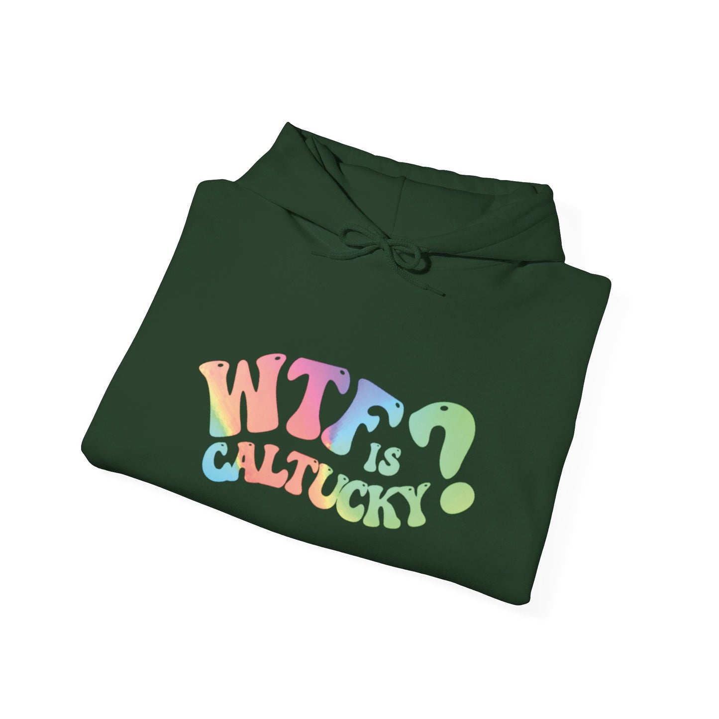 WTF Heavy Blend™ Hooded Sweatshirt