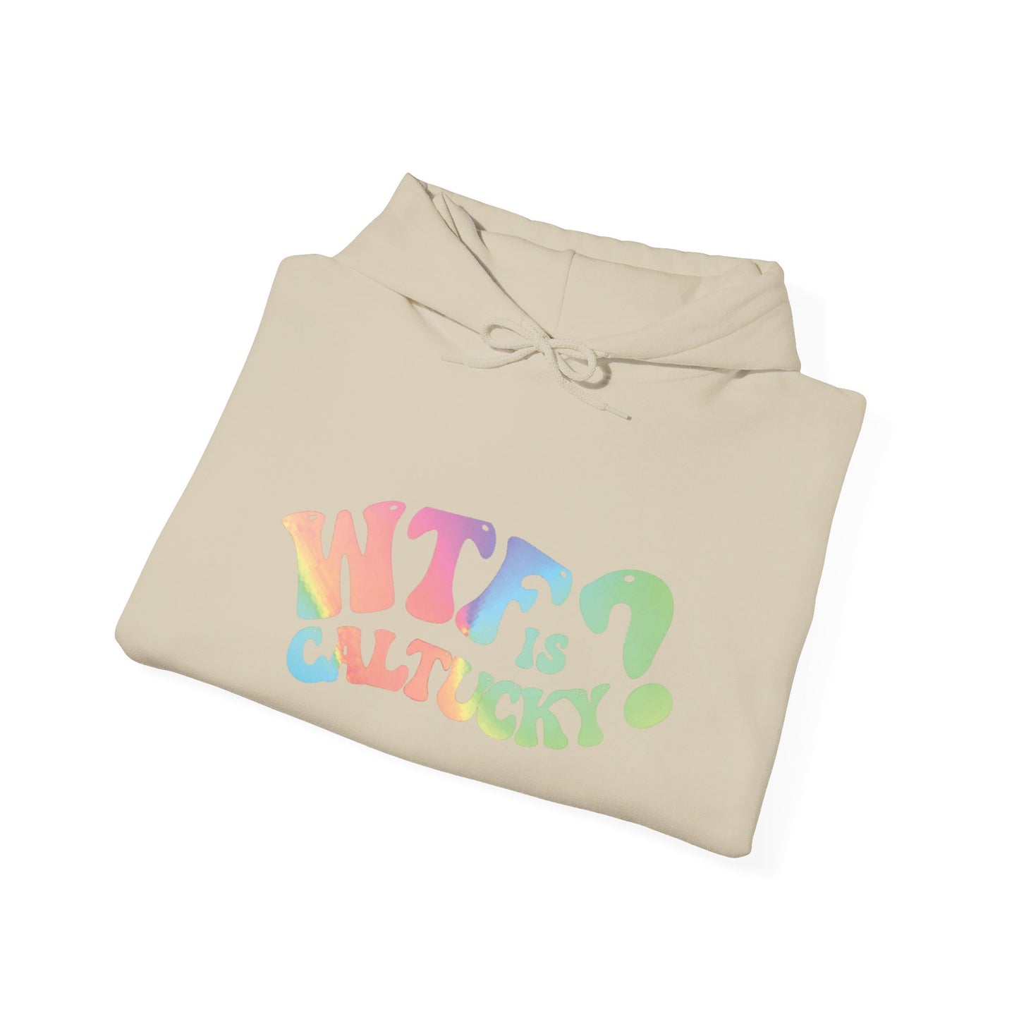 WTF Heavy Blend™ Hooded Sweatshirt